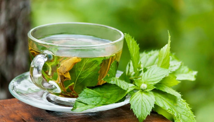 تصویر 2 از خرید و قیمت چای سبز نوشینه + فروش عمده